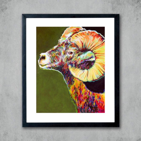 Boulder Ram