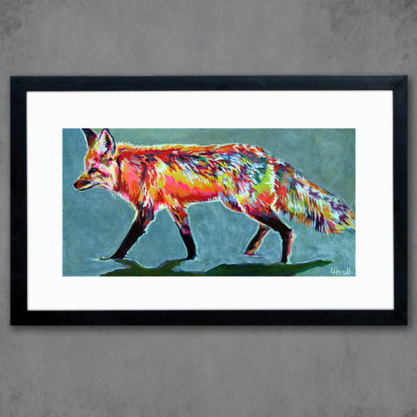 Cooke Fox