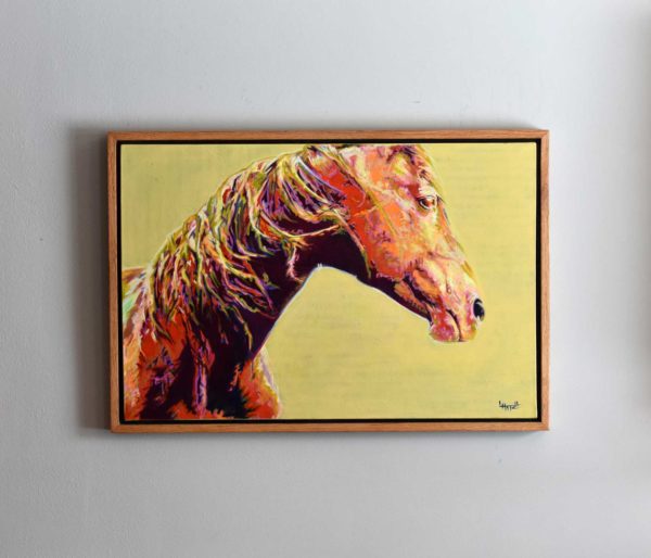 Mesa Mustang - SOLD