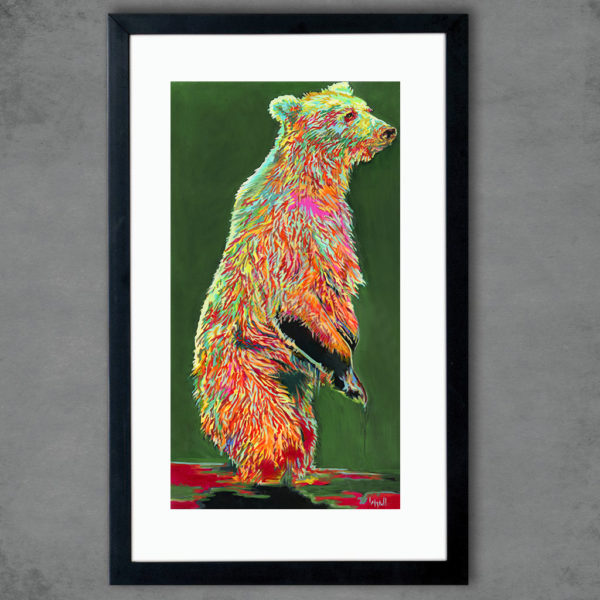 Victor Bear